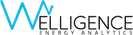 Welligence Energy Analytics